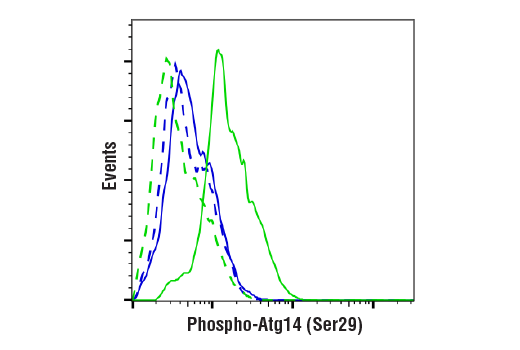 Flow Cytometry Image 1: Phospho-Atg14 (Ser29) (D4B8M) Rabbit mAb (BSA and Azide Free)