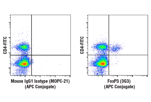 Flow Cytometry Image 1: FoxP3 (3G3) Mouse mAb (APC Conjugate)