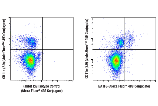 Flow Cytometry Image 1: BATF3 (E3K5H) Rabbit mAb (Alexa Fluor® 488 Conjugate)