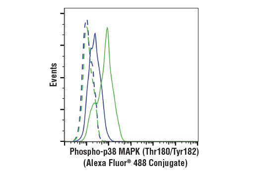 Flow Cytometry Image 1: Phospho-p38 MAPK (Thr180/Tyr182) (3D7) Rabbit mAb (Alexa Fluor® 488 Conjugate)