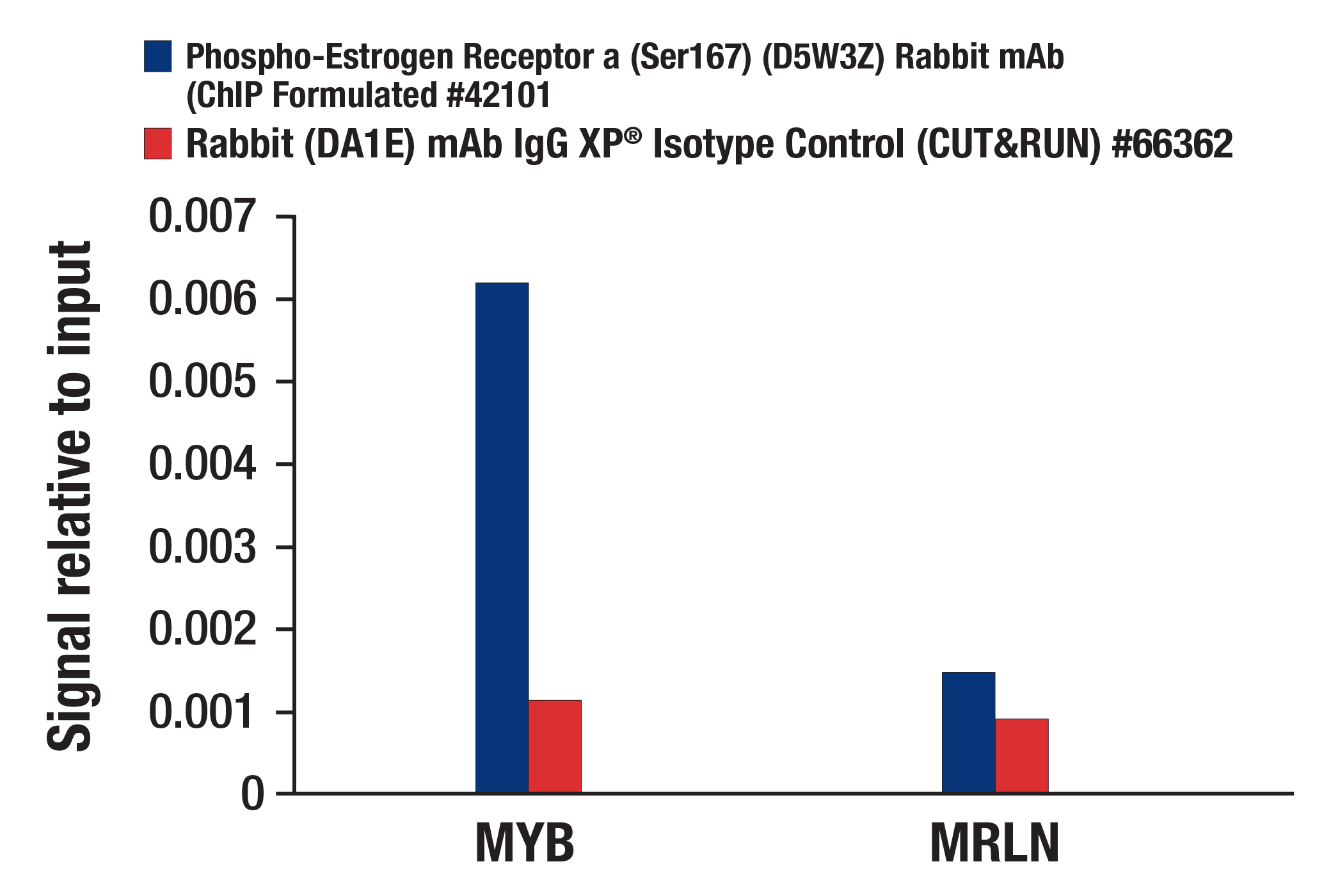 CUT and RUN Image 3: Phospho-Estrogen Receptor α (Ser167) (D5W3Z) Rabbit mAb (ChIP Formulated)