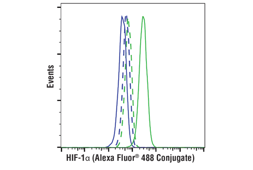 Flow Cytometry Image 1: HIF-1α (D1S7W) XP® Rabbit mAb (Alexa Fluor® 488 Conjugate)