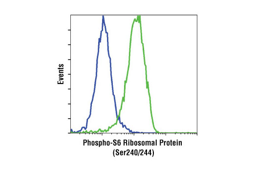 Flow Cytometry Image 1: Phospho-S6 Ribosomal Protein (Ser240/244) (61H9) Rabbit mAb (Biotinylated)