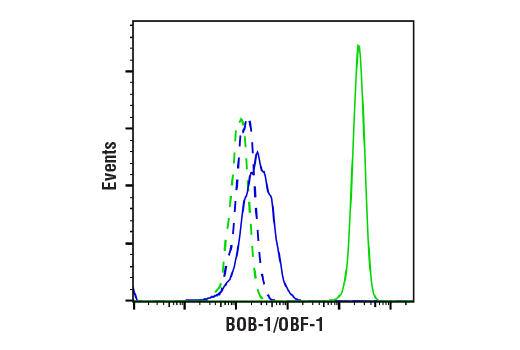 Flow Cytometry Image 1: BOB-1/OBF-1 (E5K1D) Rabbit mAb