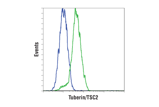 Flow Cytometry Image 1: Tuberin/TSC2 (D93F12) XP® Rabbit mAb