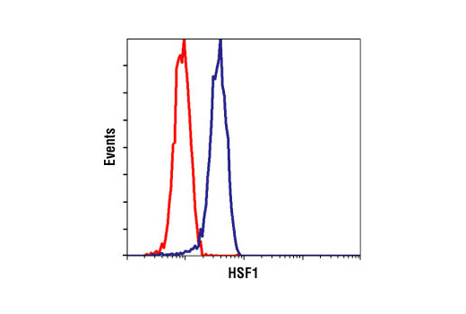 Flow Cytometry Image 1: HSF1 Antibody