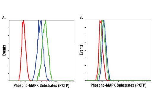 Flow Cytometry Image 1: Phospho-MAPK Substrates (PXTP) (46G11) Rabbit mAb