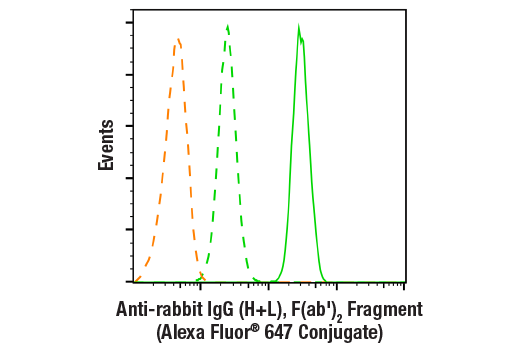  Image 2: Anti-rabbit IgG (H+L), F(ab')2 Fragment (Alexa Fluor® 647 Conjugate)