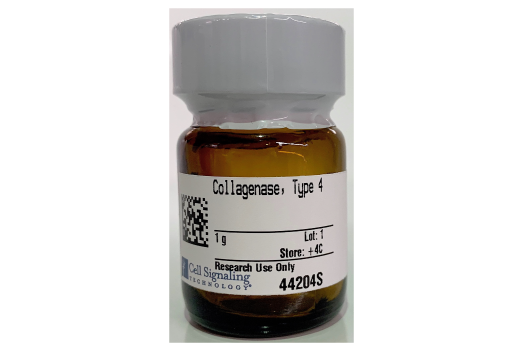  Image 1: Collagenase, Type 4