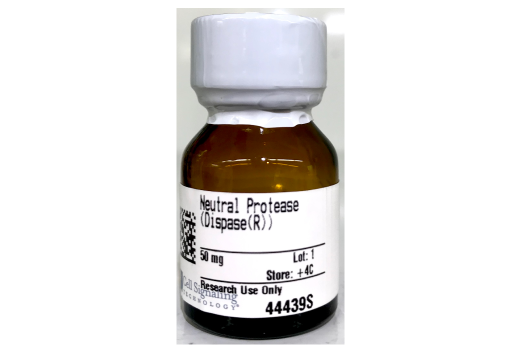  Image 1: Neutral Protease (Dispase®)