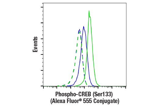 Flow Cytometry Image 1: Phospho-CREB (Ser133) (87G3) Rabbit mAb (Alexa Fluor® 555 Conjugate)
