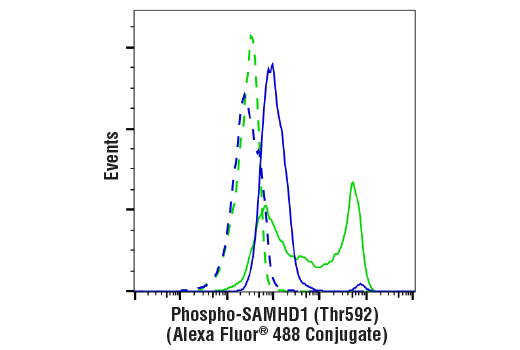 Flow Cytometry Image 1: Phospho-SAMHD1 (Thr592) (D7O2M) Rabbit mAb (Alexa Fluor® 488 Conjugate)