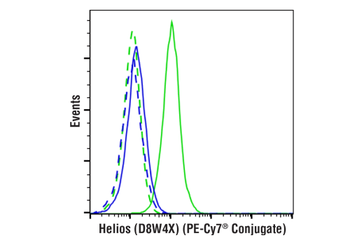 Flow Cytometry Image 1: Helios (D8W4X) XP® Rabbit mAb (PE-Cy7® Conjugate)