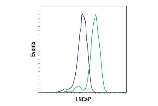Flow Cytometry Image 1: ERG (A7L1G) Rabbit mAb (BSA and Azide Free)