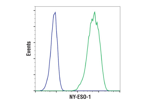 Flow Cytometry Image 1: NY-ESO-1 (D1Q2U) Rabbit mAb