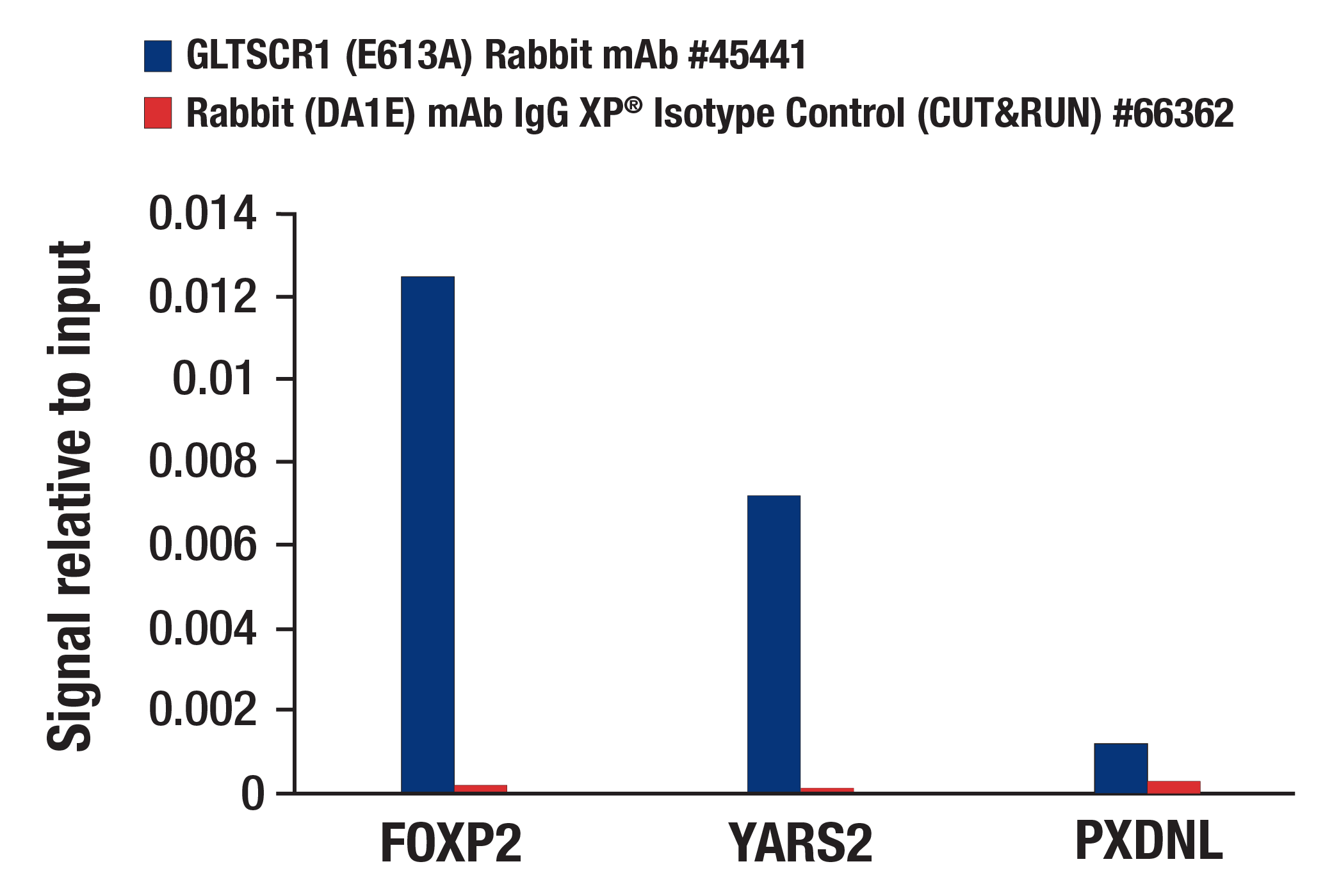 CUT and RUN Image 3: GLTSCR1 (E6I3A) Rabbit mAb