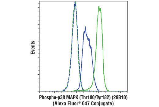 Flow Cytometry Image 1: Phospho-p38 MAPK (Thr180/Tyr182) (28B10) Mouse mAb (Alexa Fluor® 647 Conjugate)