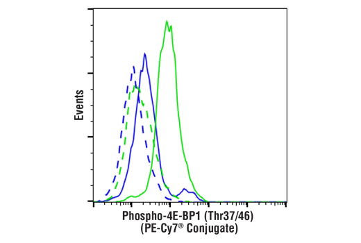 Flow Cytometry Image 1: Phospho-4E-BP1 (Thr37/46) (236B4) Rabbit mAb (PE-Cy7® Conjugate)