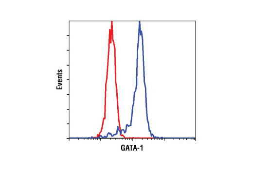 Flow Cytometry Image 1: GATA-1 (D24E4) XP® Rabbit mAb