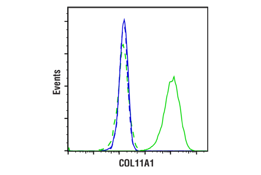 Flow Cytometry Image 1: COL11A1 (E6X3Y) Rabbit mAb (BSA and Azide Free)