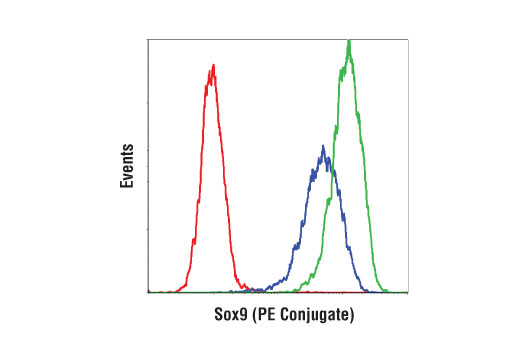 Flow Cytometry Image 1: Sox9 (D8G8H) Rabbit mAb (PE Conjugate)