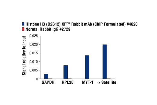 Chromatin Immunoprecipitation Image 1: Histone H3 (D2B12) XP® Rabbit mAb (ChIP Formulated)