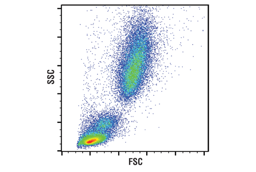 Flow Cytometry Image 1: RBC Lysis Buffer (10X)