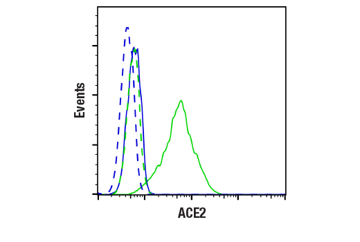 Flow Cytometry Image 2: ACE2 (E1E1I) Mouse mAb