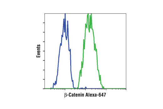 Flow Cytometry Image 1: β-Catenin (L54E2) Mouse mAb (Alexa Fluor® 647 Conjugate)