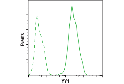 Flow Cytometry Image 1: YY1 (D5D9Z) Rabbit mAb