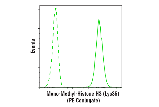 Flow Cytometry Image 1: Mono-Methyl-Histone H3 (Lys36) (D9J1D) Rabbit mAb (PE Conjugate)