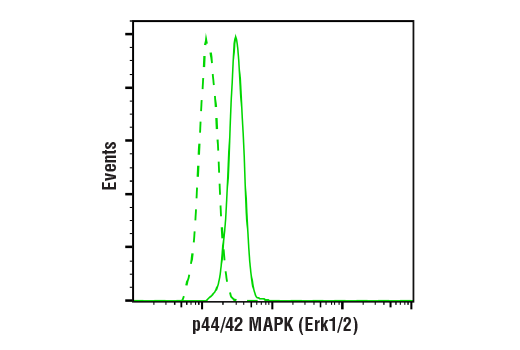 Flow Cytometry Image 1: p44/42 MAPK (Erk1/2) (L34F12) Mouse mAb