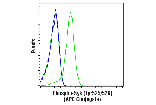 Flow Cytometry Image 1: Phospho-Syk (Tyr525/526) (C87C1) Rabbit mAb (APC Conjugate)