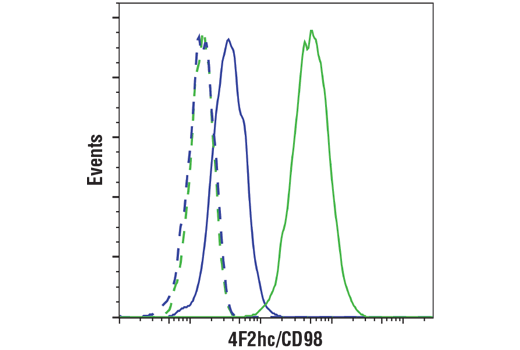  Image 42: Plasma Membrane Marker Antibody Sampler Kit