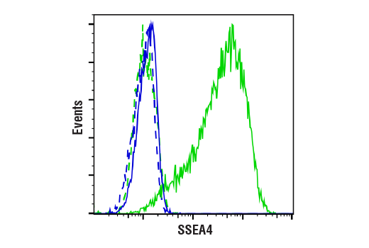 Flow Cytometry Image 2: SSEA4 (MC813) Mouse mAb
