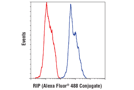 Flow Cytometry Image 1: RIP (D94C12) XP® Rabbit mAb (Alexa Fluor® 488 Conjugate)