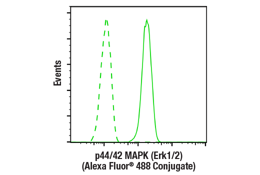 Flow Cytometry Image 1: p44/42 MAPK (Erk1/2) (137F5) Rabbit mAb (Alexa Fluor® 488 Conjugate)