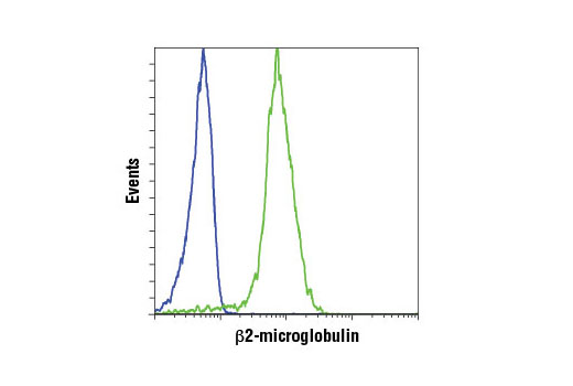 Flow Cytometry Image 1: β2-microglobulin (D8P1H) Rabbit mAb (BSA and Azide Free)