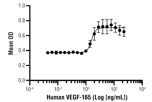  Image 1: Human VEGF-165 Recombinant Protein