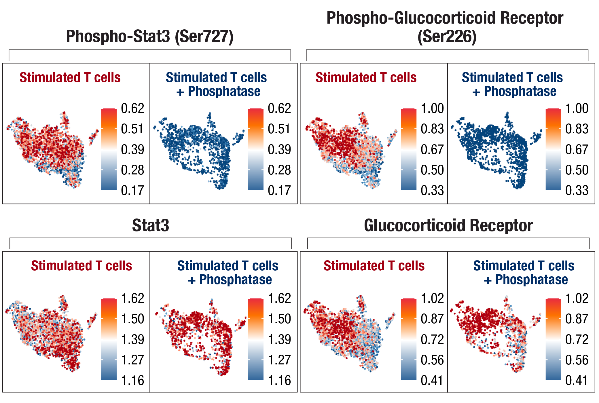 Images of human peripheral blood mononuclear cells treated in various ways and processed using the InTraSeq 3’ protocol.