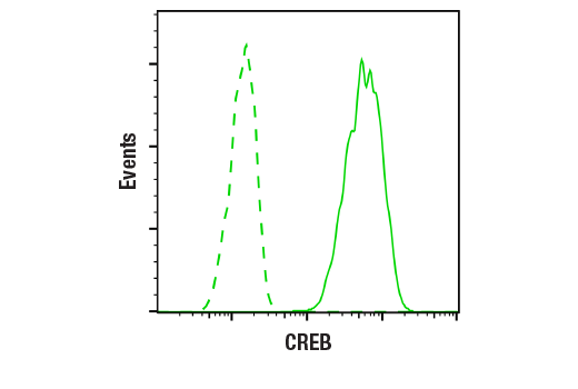 Flow Cytometry Image 1: CREB (D76D11) Rabbit mAb