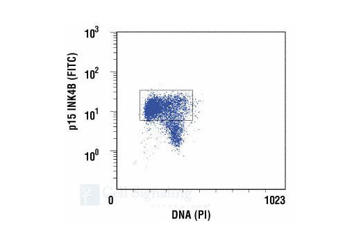 Flow Cytometry Image 1: p15 INK4B Antibody