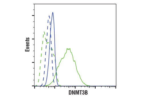 Flow Cytometry Image 1: DNMT3B (E4I4O) Rabbit mAb (Mouse Specific)