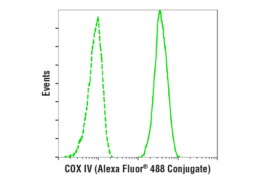 Flow Cytometry Image 1: COX IV (3E11) Rabbit mAb (Alexa Fluor® 488 Conjugate)