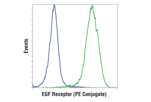 Flow Cytometry Image 2: EGF Receptor (D1D4J) XP® Rabbit mAb (PE Conjugate)