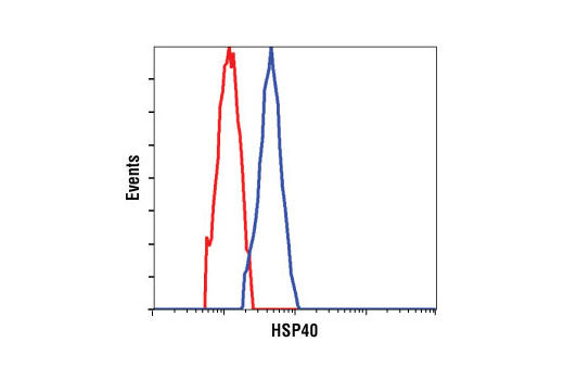 Flow Cytometry Image 1: HSP40 Antibody