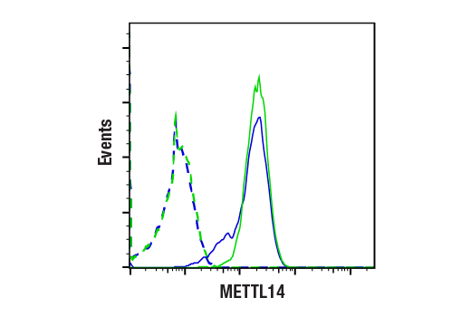 Flow Cytometry Image 1: METTL14 (E2G9A) Rabbit mAb