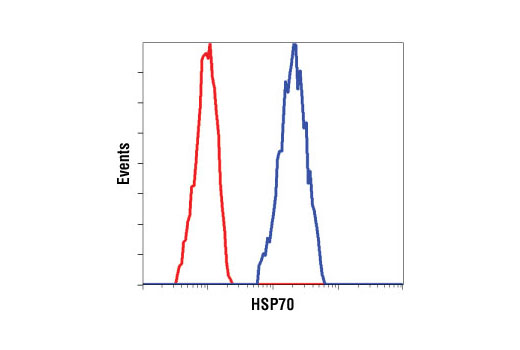 Flow Cytometry Image 1: HSP70 (6B3) Rat mAb