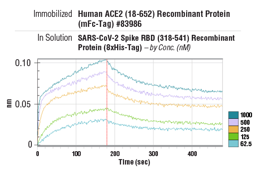  Image 1: SARS-CoV-2 Spike RBD (318-541) Recombinant Protein (8xHis-Tag)