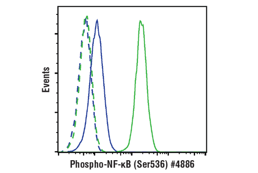Flow Cytometry Image 1: Phospho-NF-κB p65 (Ser536) (93H1) Rabbit mAb (Alexa Fluor® 488 Conjugate)